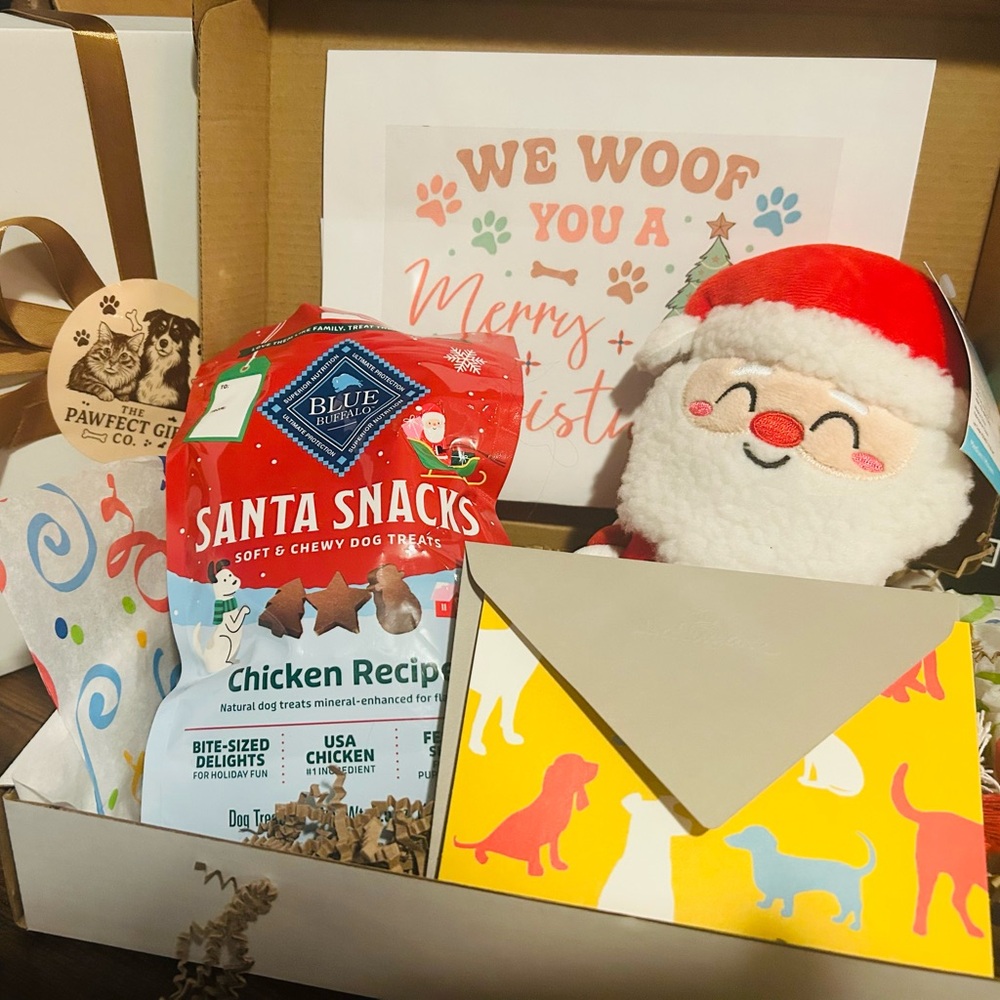 Blue Santa Snacks Dog Treats with Plush Santa Toy